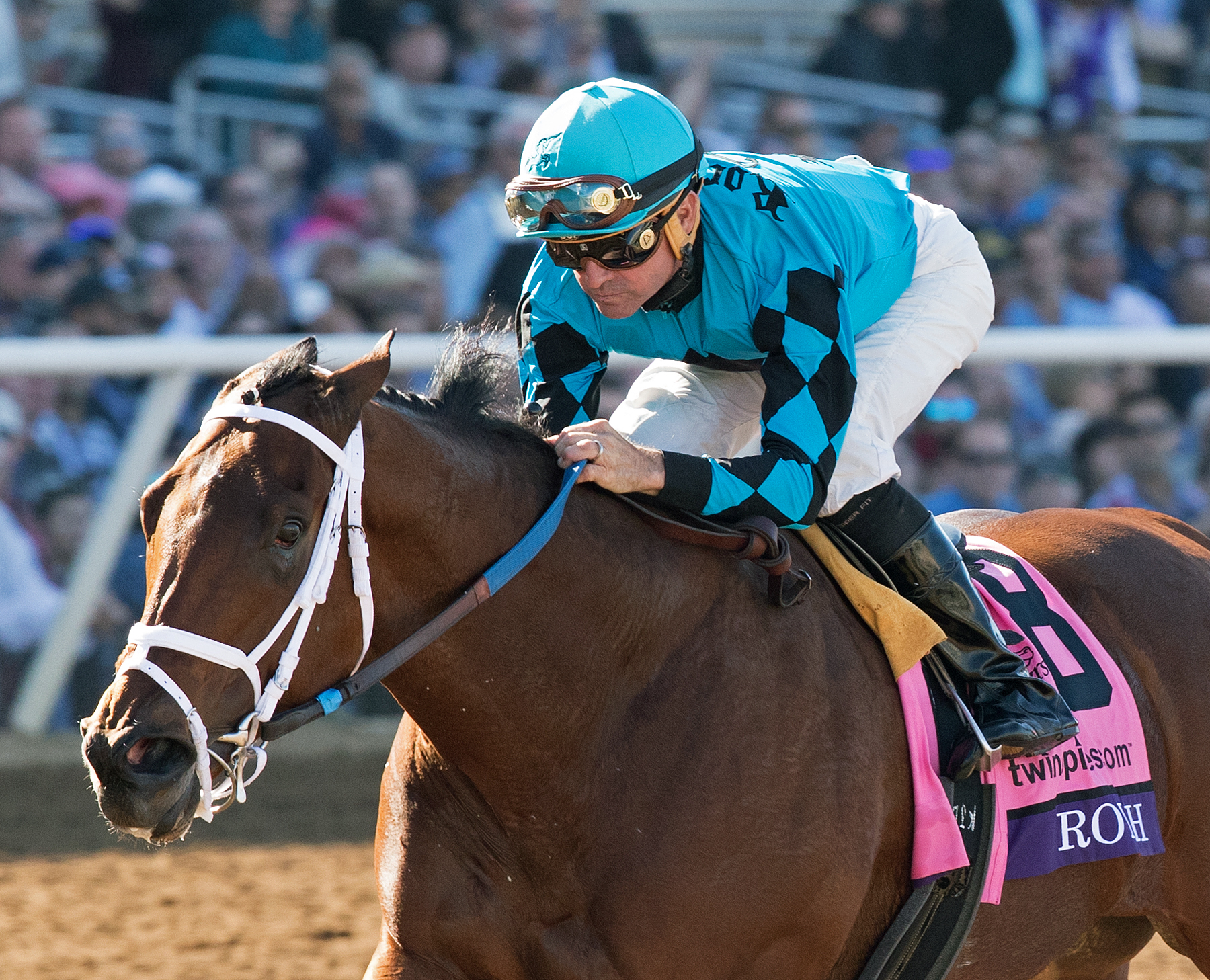 Roy H wins the 2017 Breeders Cup Sprint