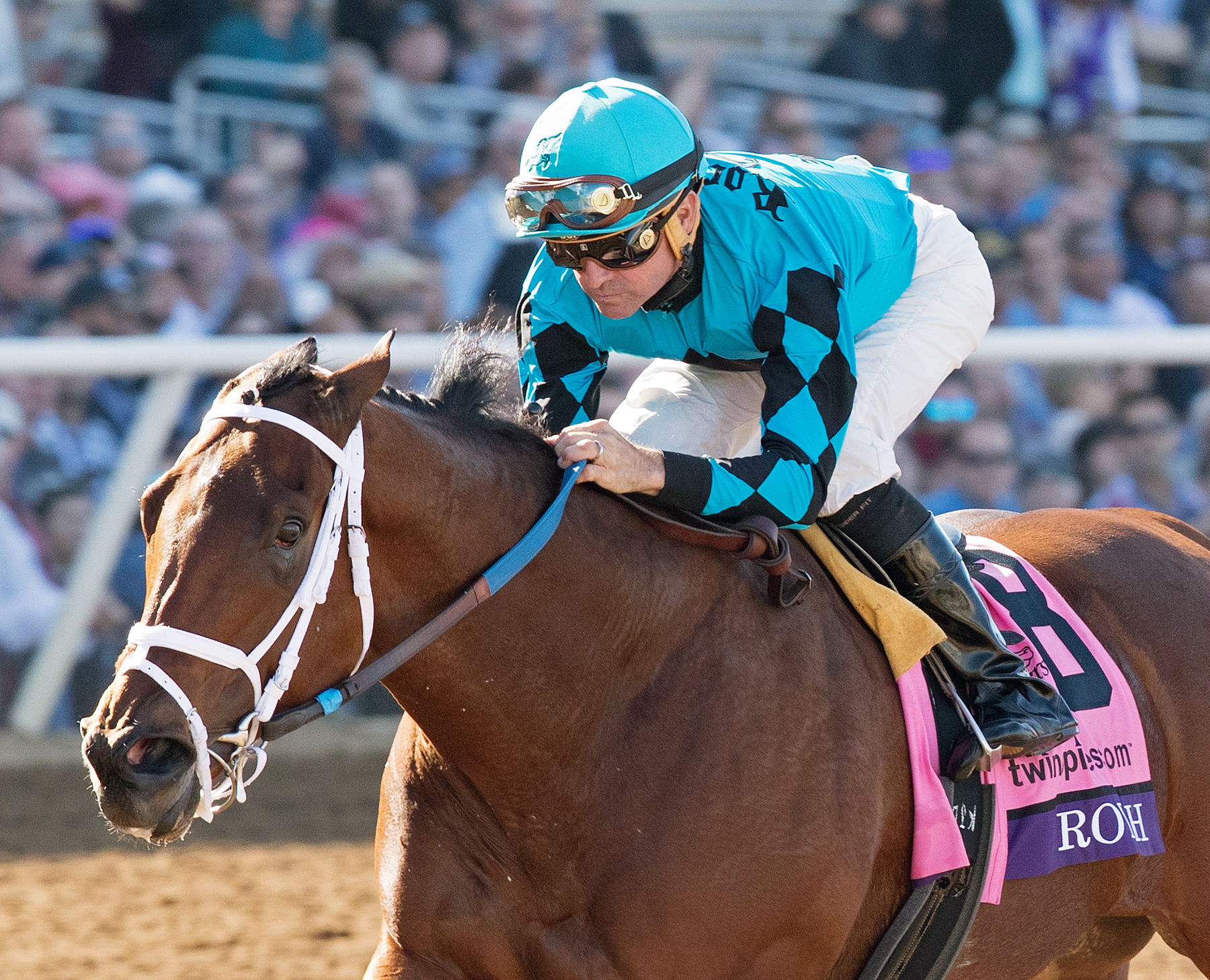 Roy H wins the 2017 Breeders Cup Sprint
