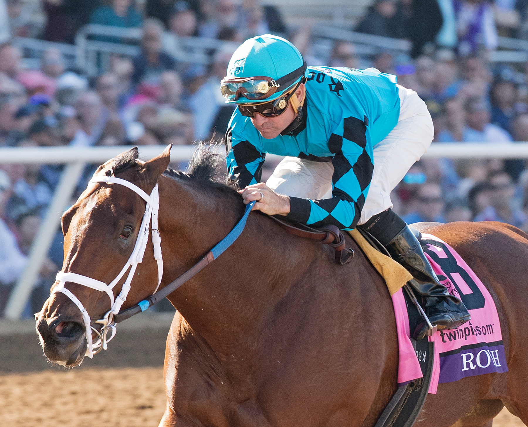 Roy H wins the 2017 Breeders Cup Sprint