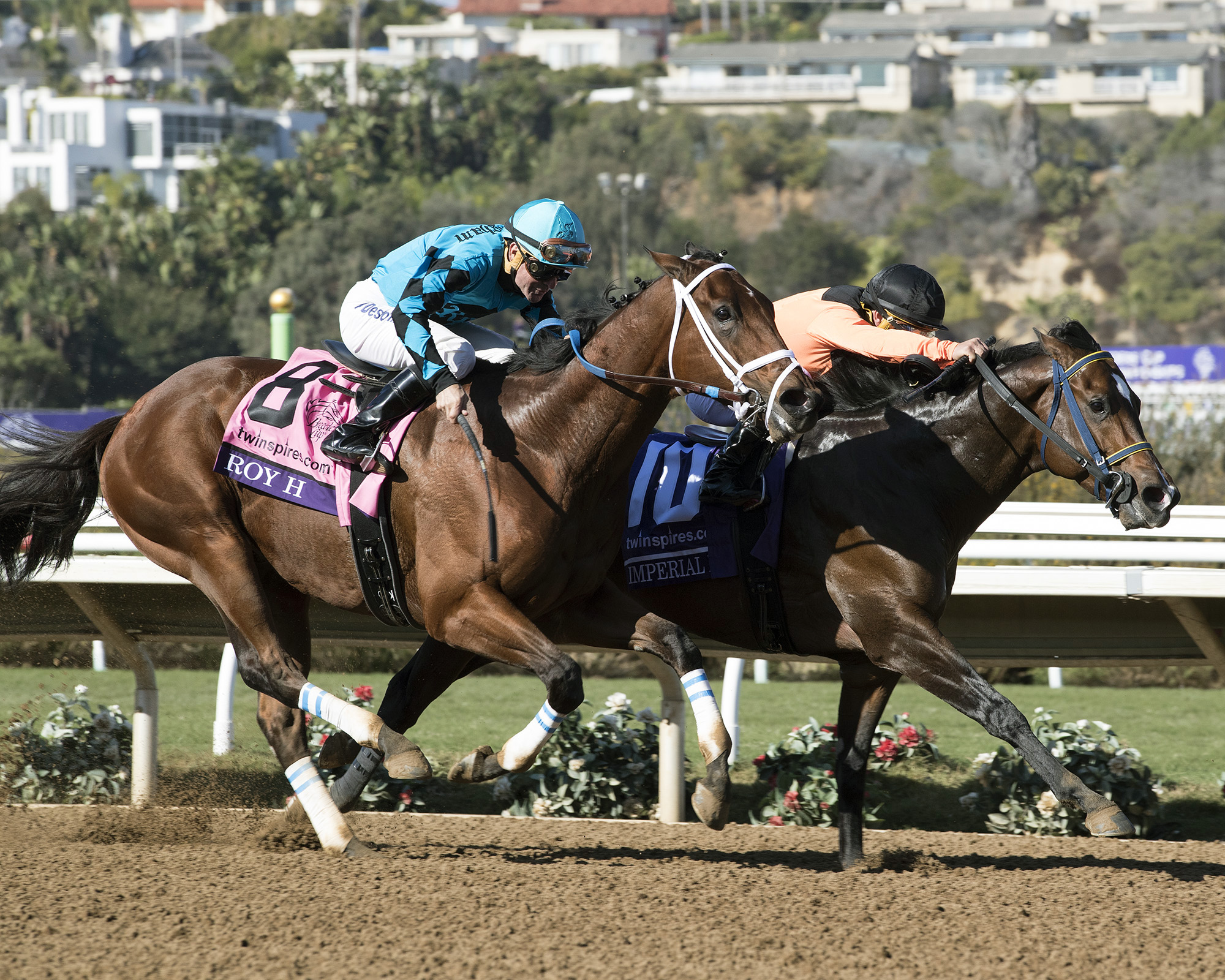 Imperial Hint battles with Roy H in the Breeders Cup Sprint