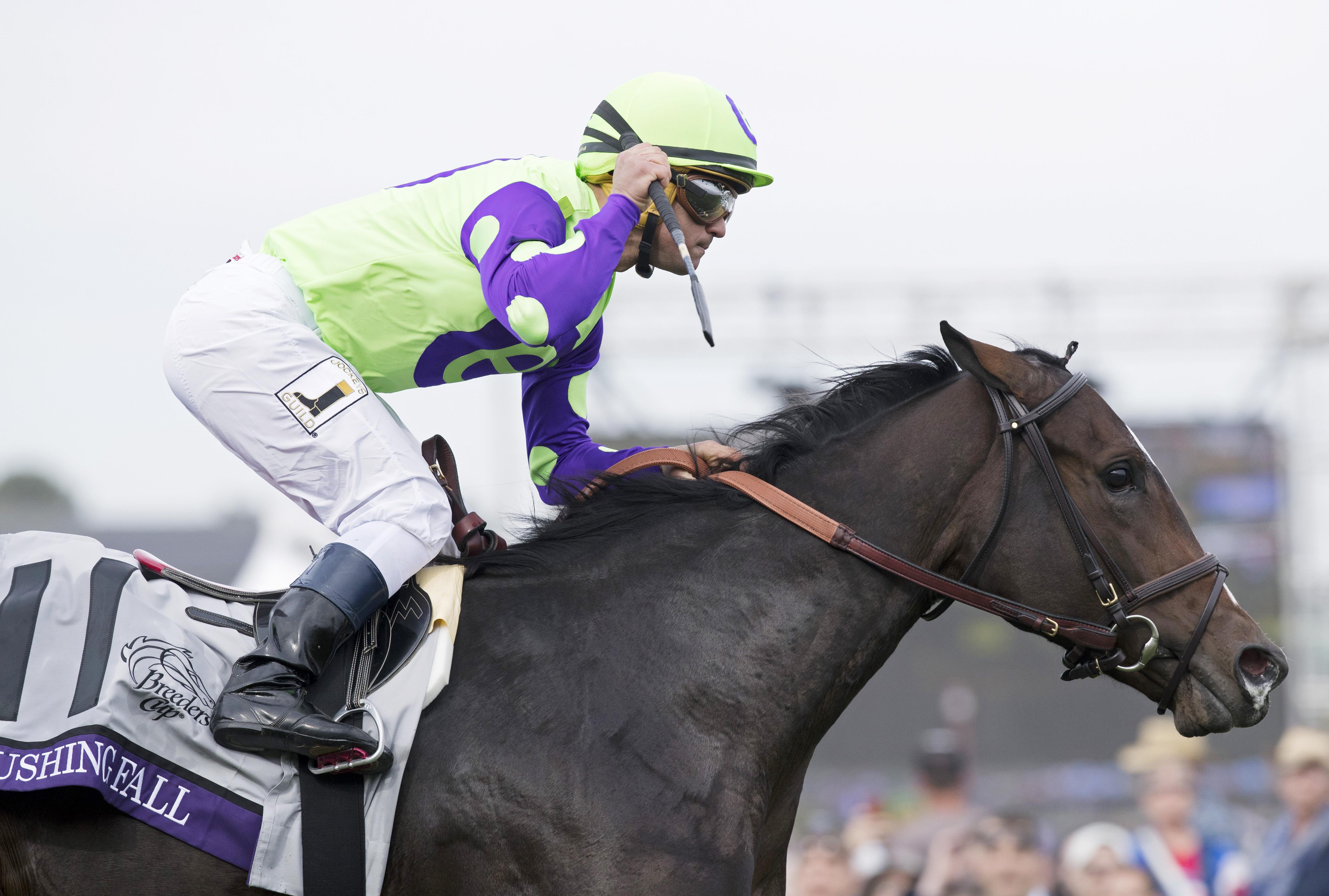 Rushing Fall wins the 2017 Breeders Cup Juvenile Fillies Turf