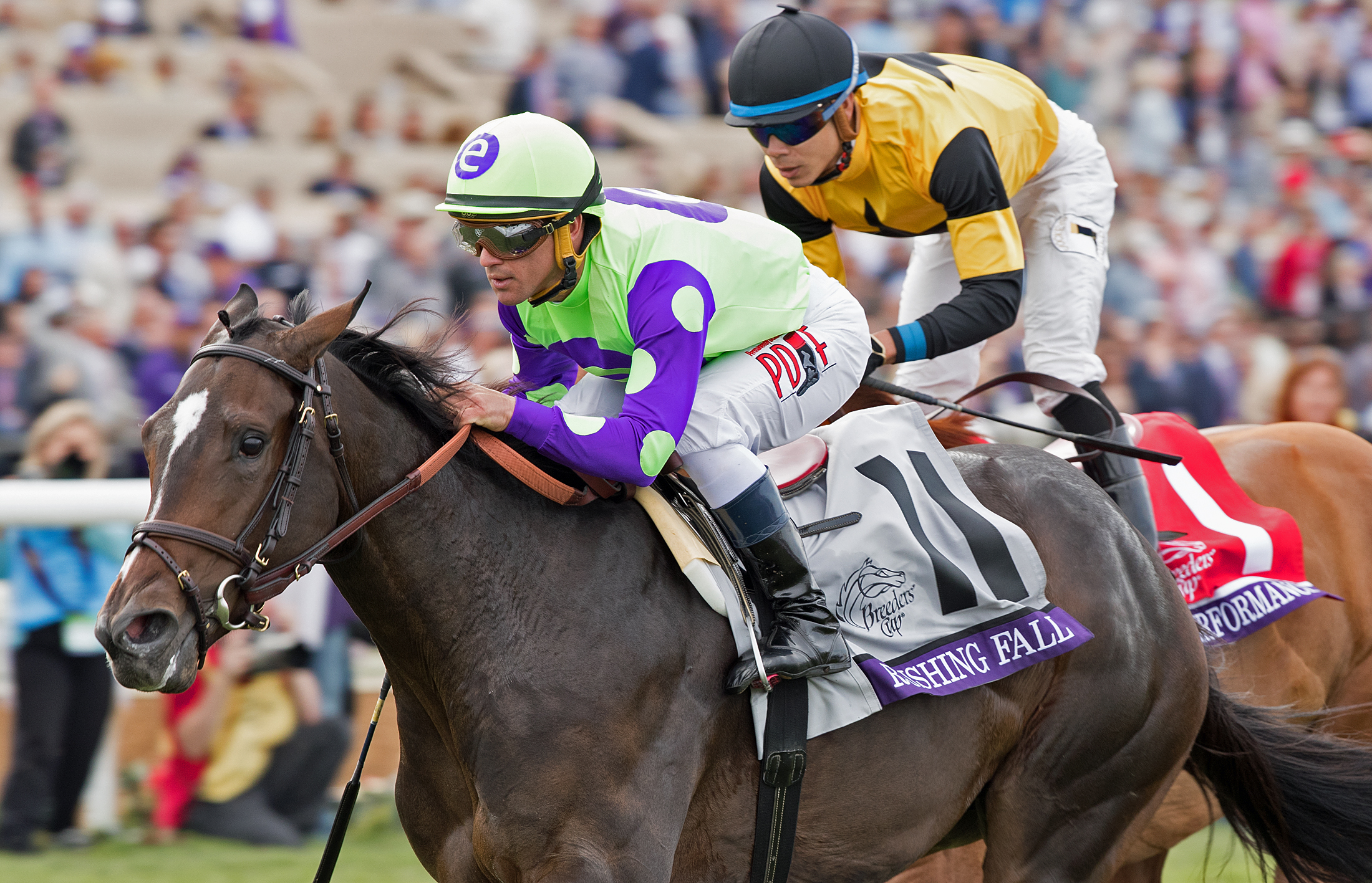 Rushing Fall wins the 2017 Breeders Cup Juvenile Fillies Turf