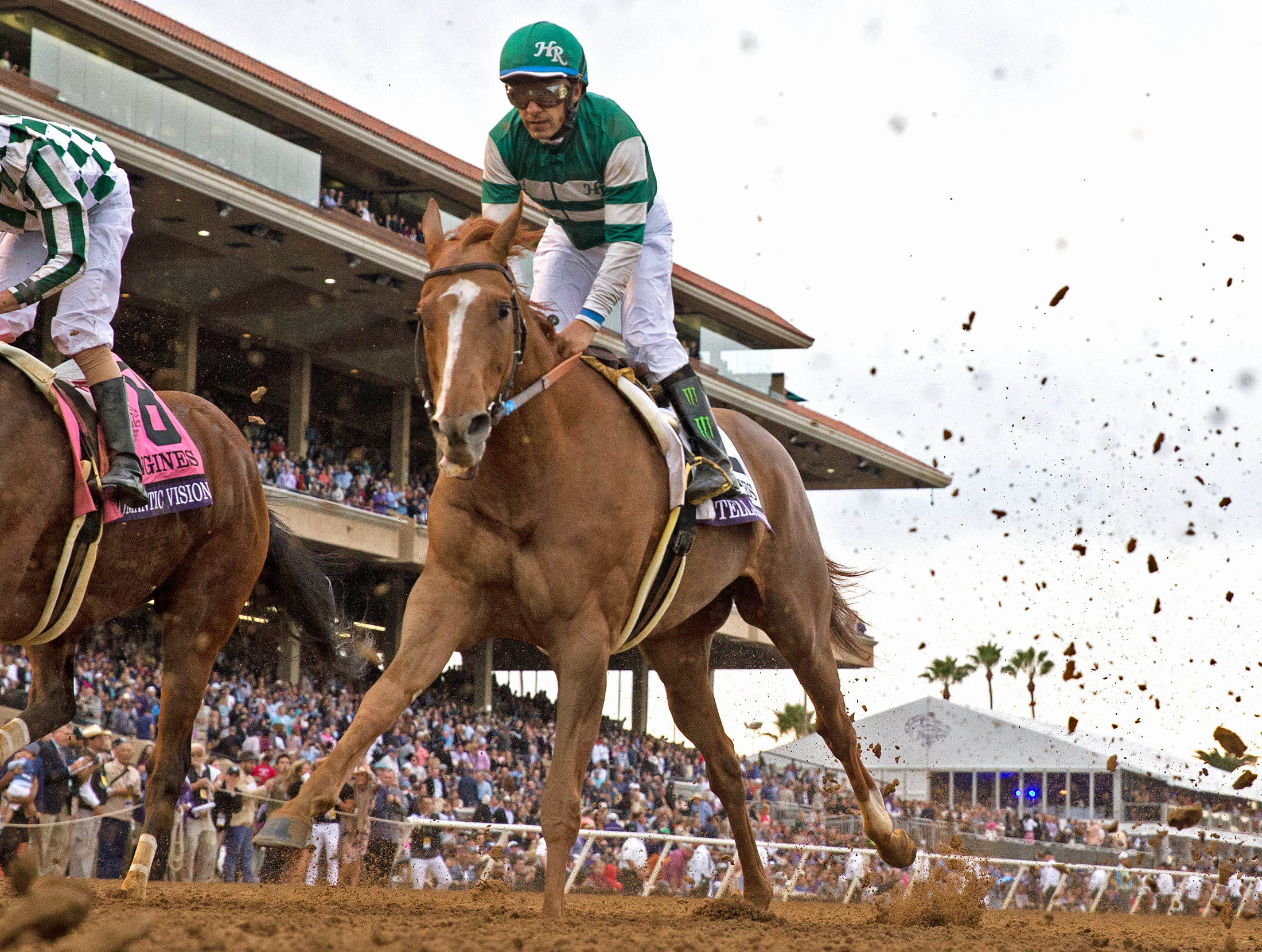 Stellar Wind finishes last in the 2017 Breeders' Cup Distaff