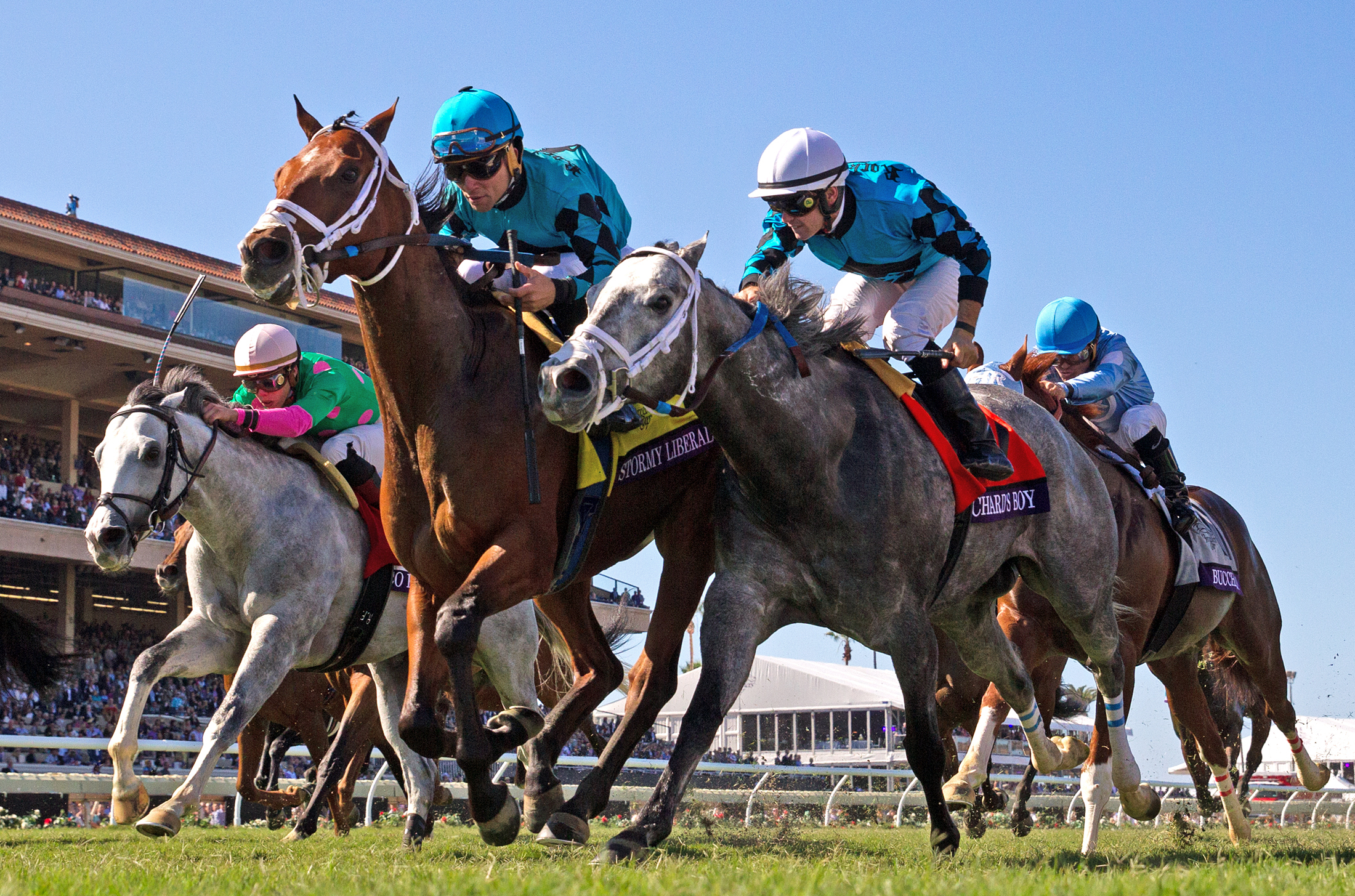Stormy Liberal wins the 2017 Breeders Cup Turf Sprint