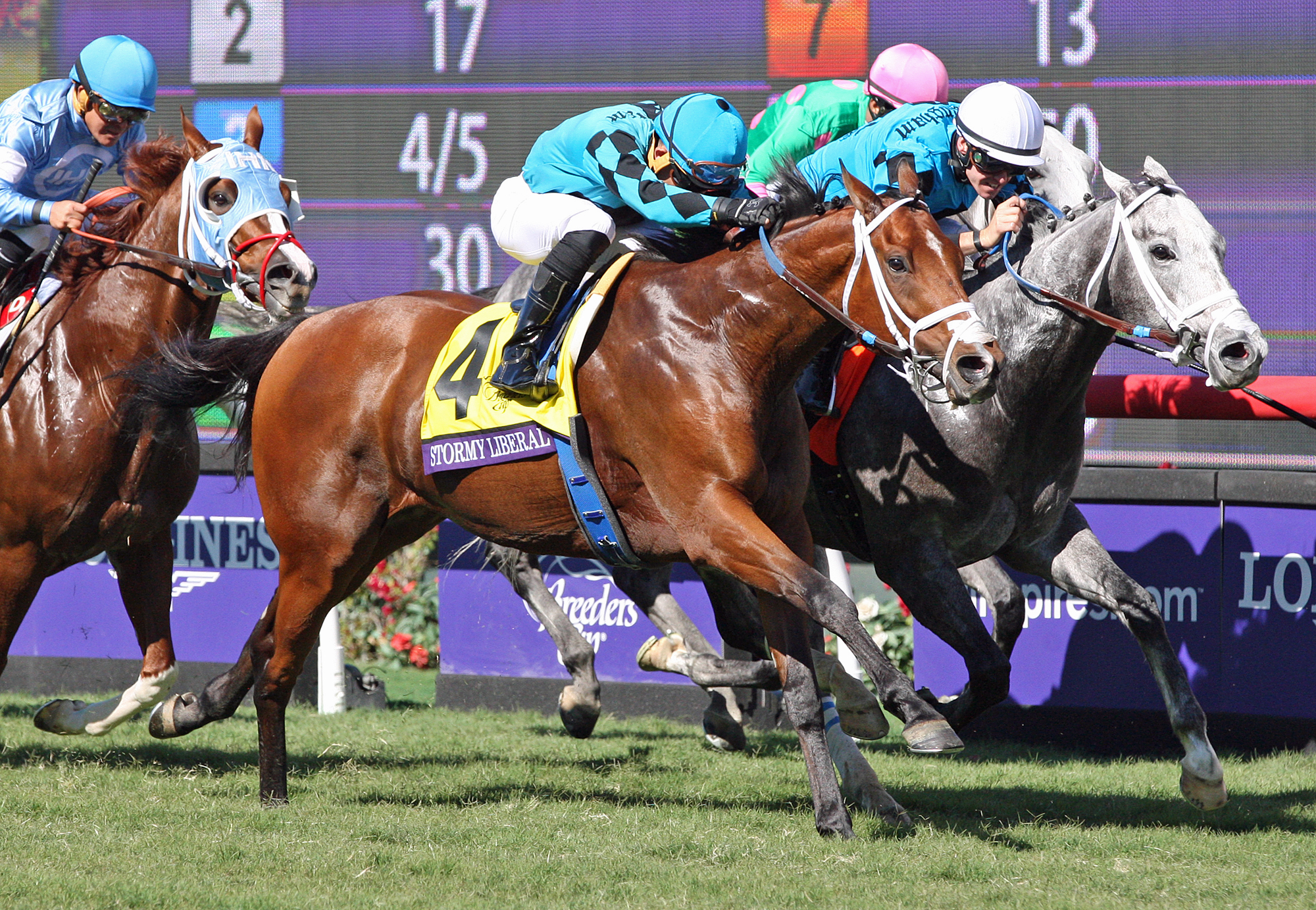 Stormy Liberal wins the 2017 Breeders Cup Turf Sprint