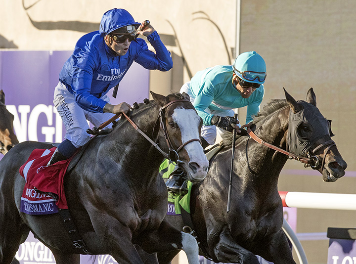 Talismanic wins the 2017 Breeders Cup Turf