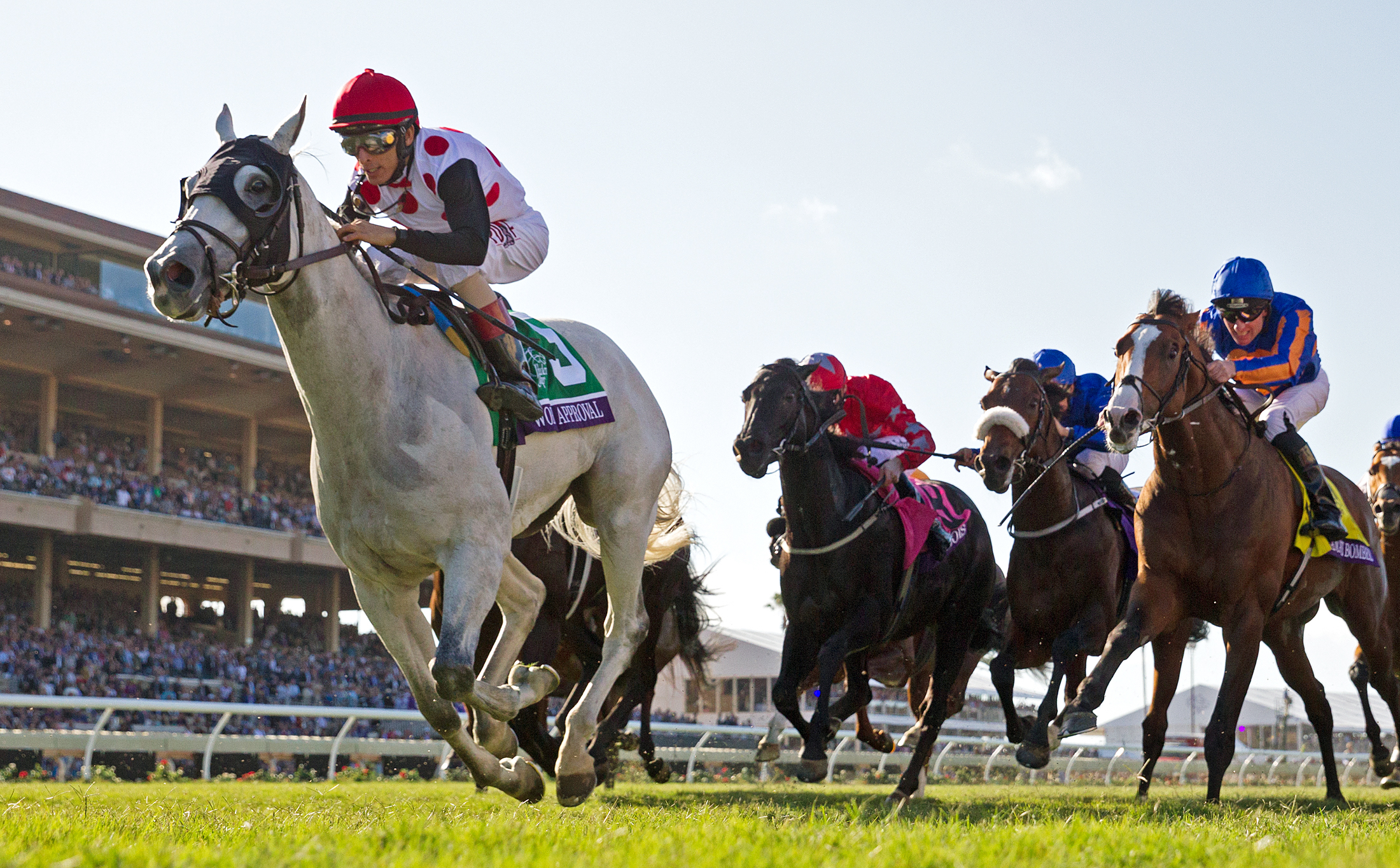 World Approval wins the 2017 Breeders Cup Mile