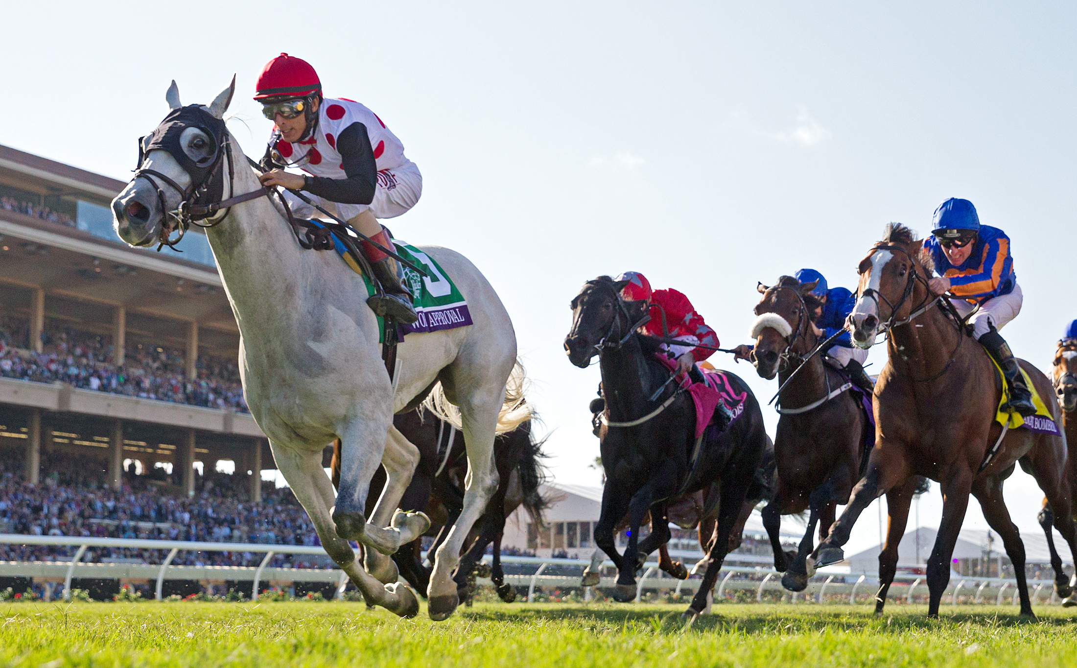 World Approval wins the Breeders Cup Mile