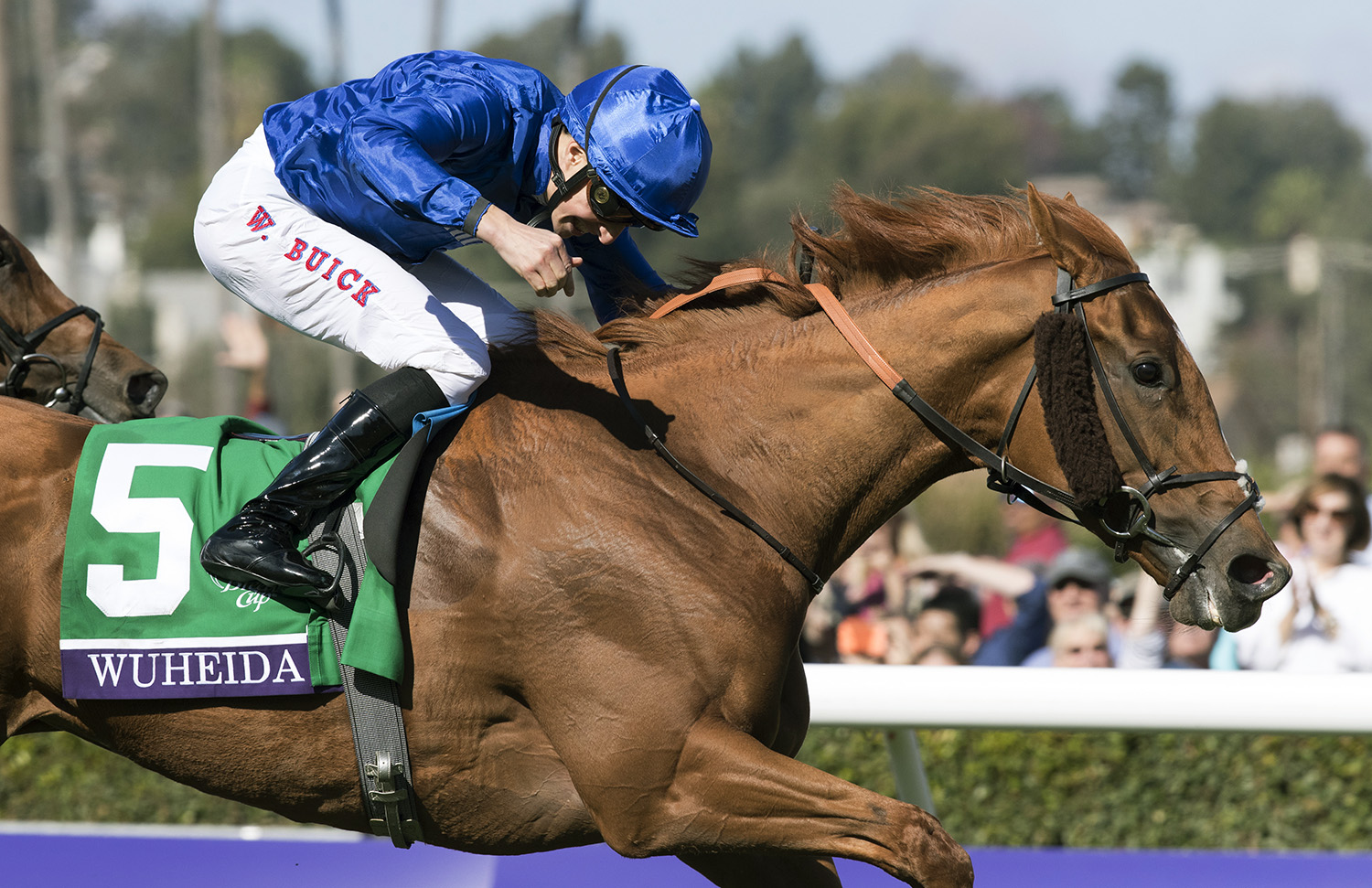 Wuheida wins the Breeders Cup Filly and Mare Turf