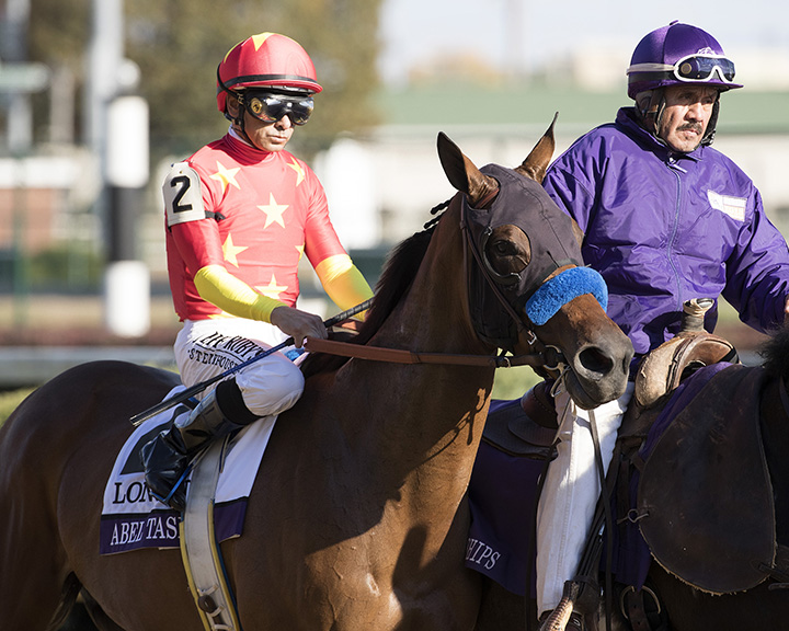 Abel Tasman at the 2018 Breeders Cup Distaff