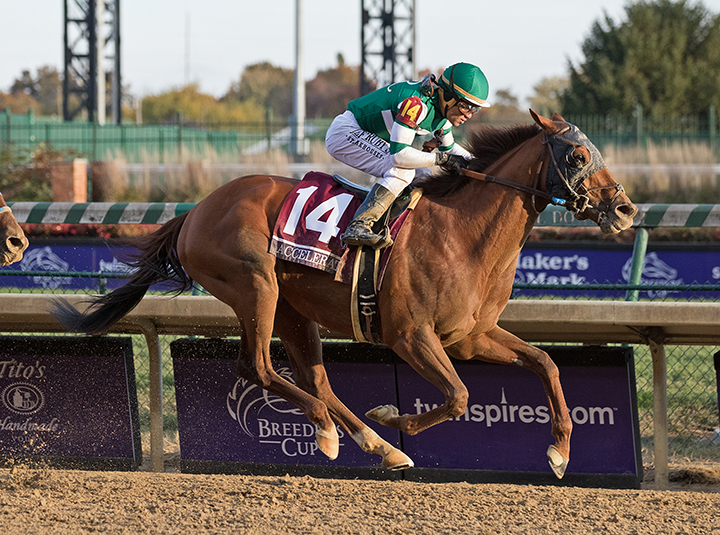 Accelerate - Eclipse Awards 2018