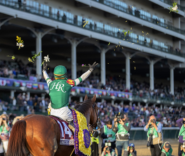 Accelerate and Joel Rosario after the Breeders Cup Classic