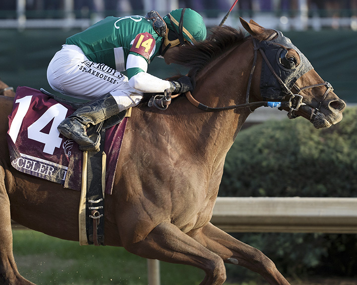 Accelerate wins the 2018 Breeders Cup Classic