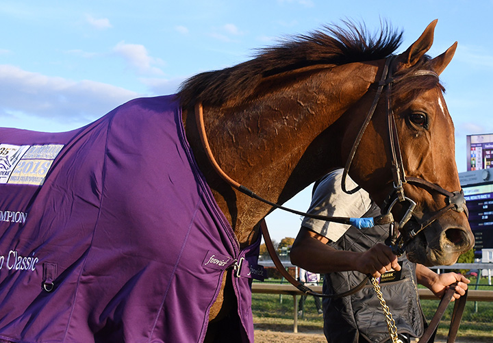 Accelerate
