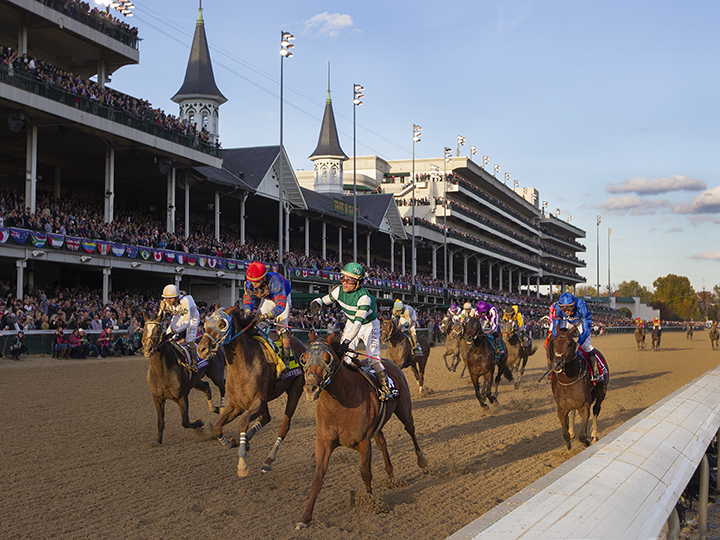 Accelerate wins the Breeders Cup Classic
