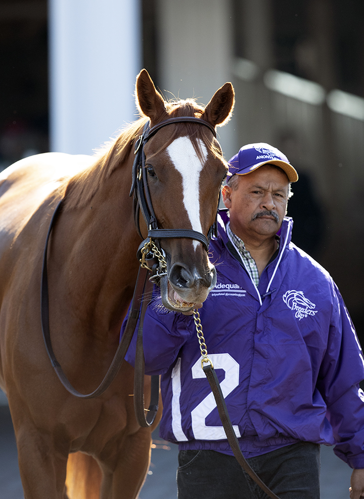 Anonymity at the 2018 Breeders' Cup