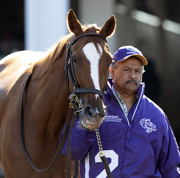 Anonymity at the 2018 Breeders' Cup