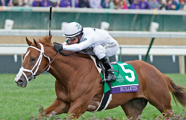 Bulletin wins the 2018 Breeders Cup Juvenile Turf Sprint
