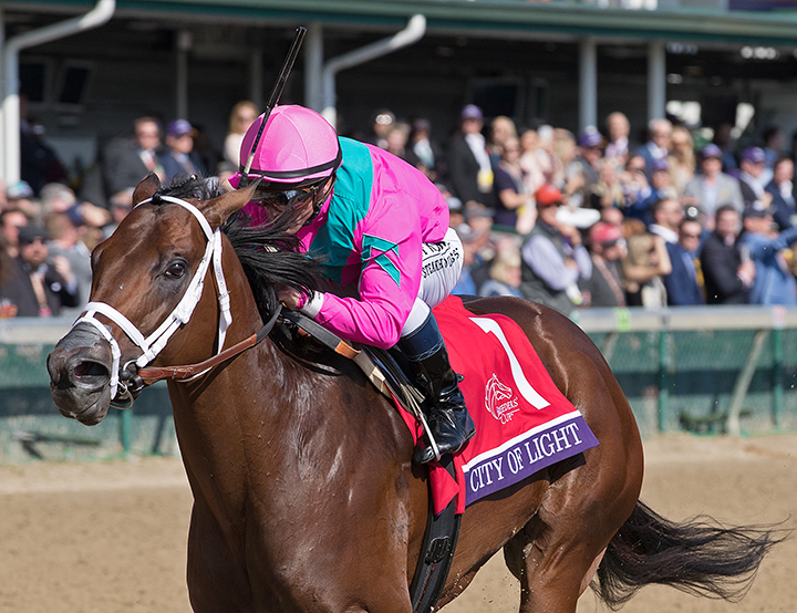City of Light - Eclipse Awards 2018