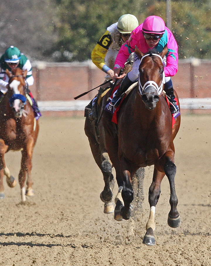 City of Light wins the Breeders Cup Dirt Mile