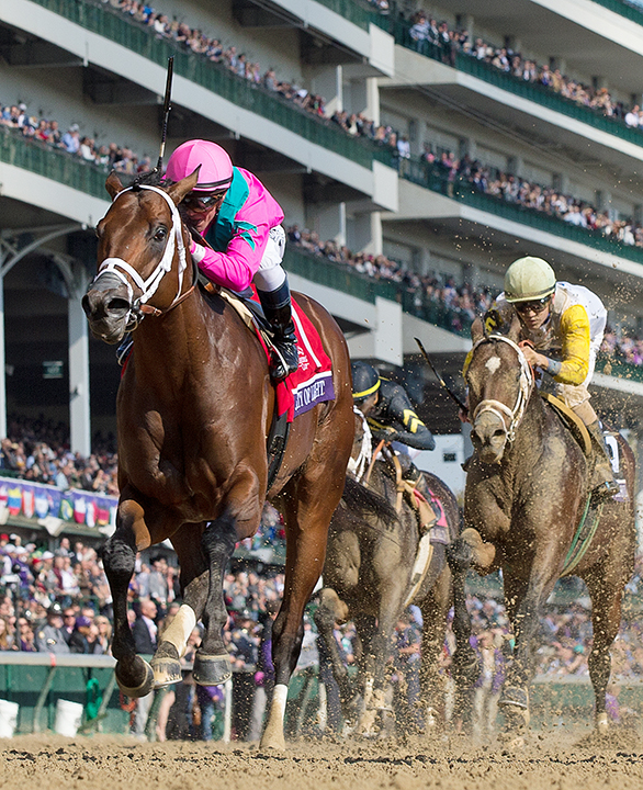 City of Light wins the 2018 Breeders Cup Dirt Mile