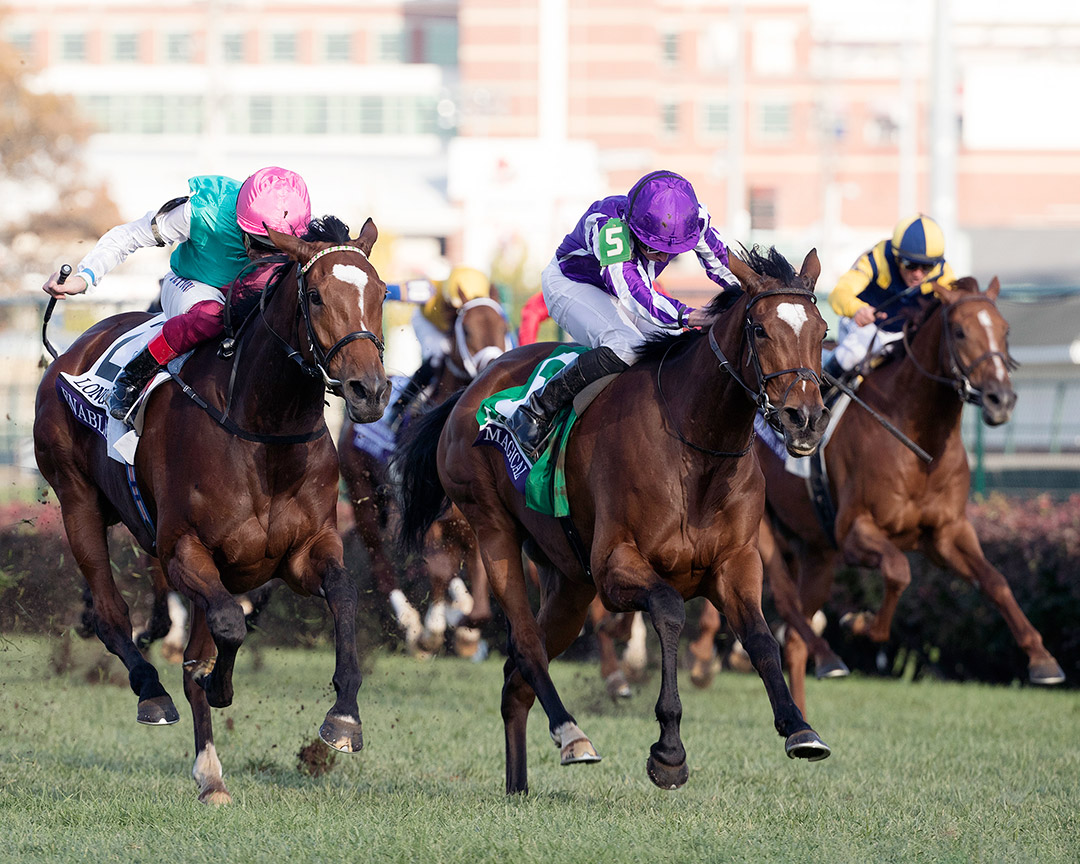 Magical (right) finishes second to Enable in the 2018 Breeders' Cup Turf