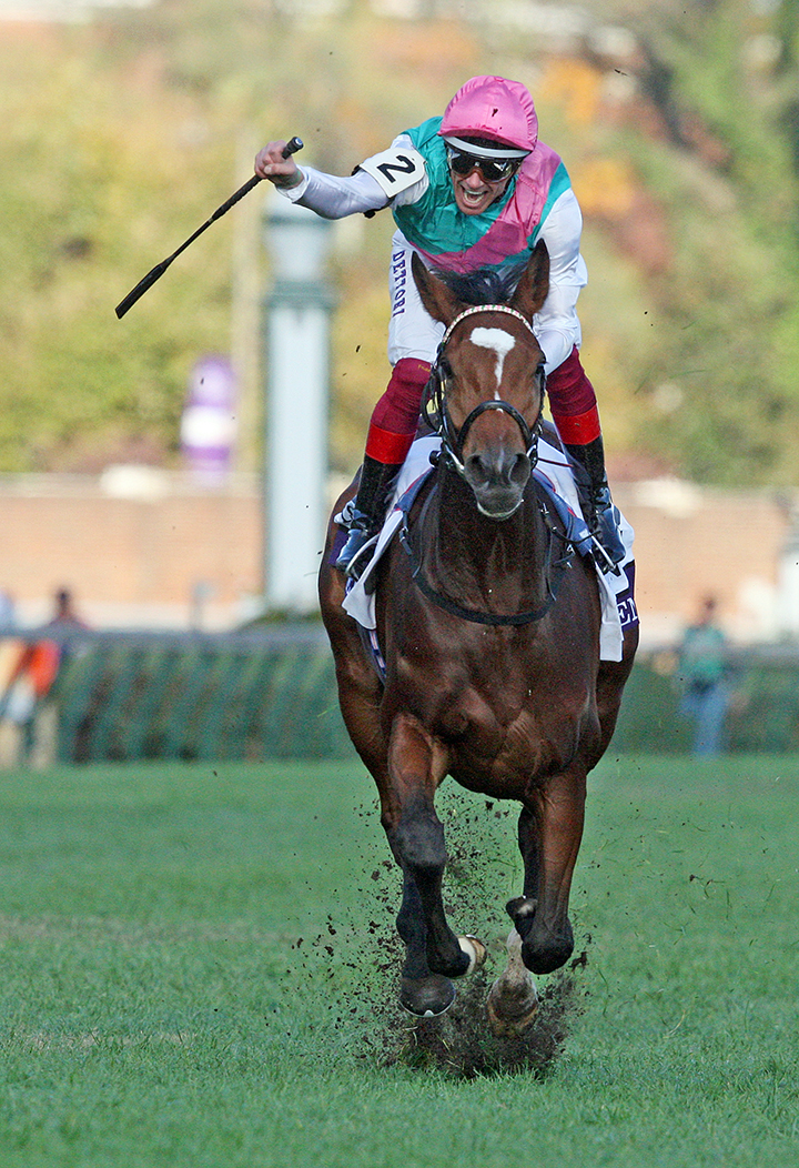 Enable wins the 2018 Breeders Cup Turf