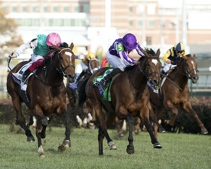 Magical finishes second in the 2018 Breeders' Cup Turf