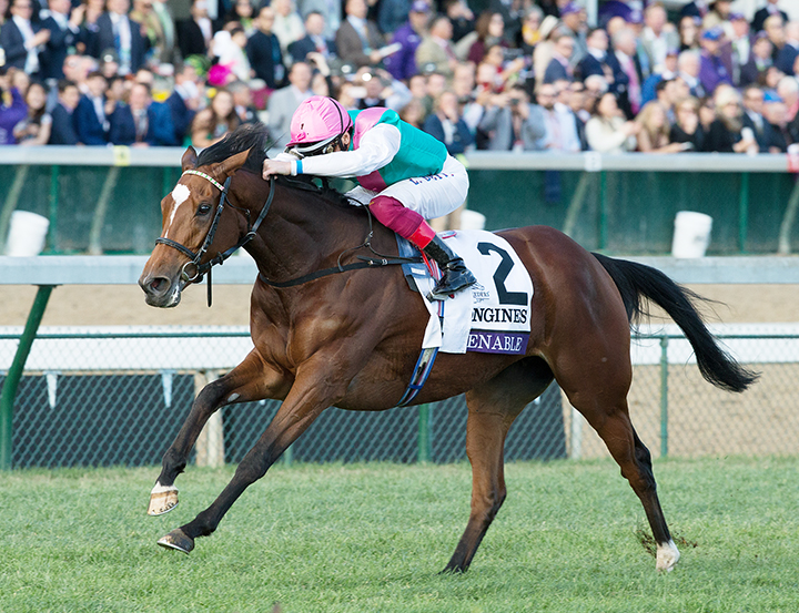 Enable wins the Breeders Cup Turf