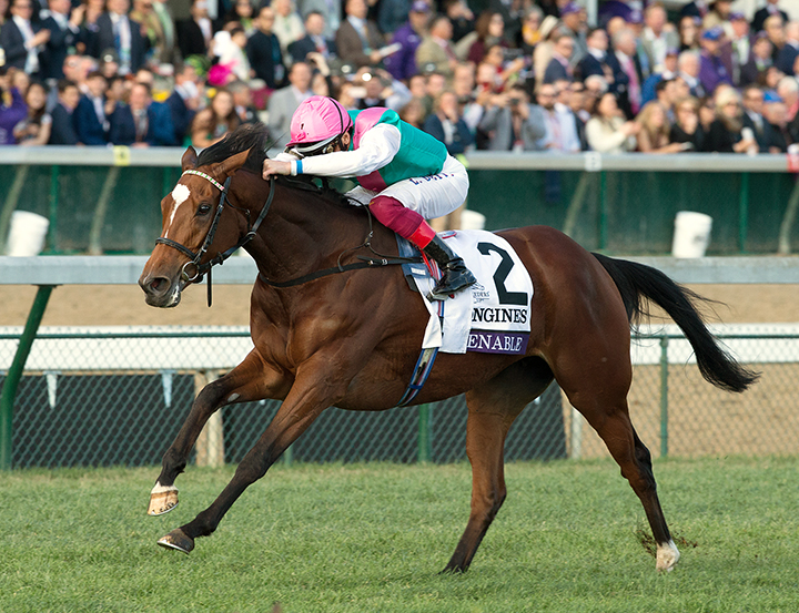 Enable - Eclipse Awards 2018