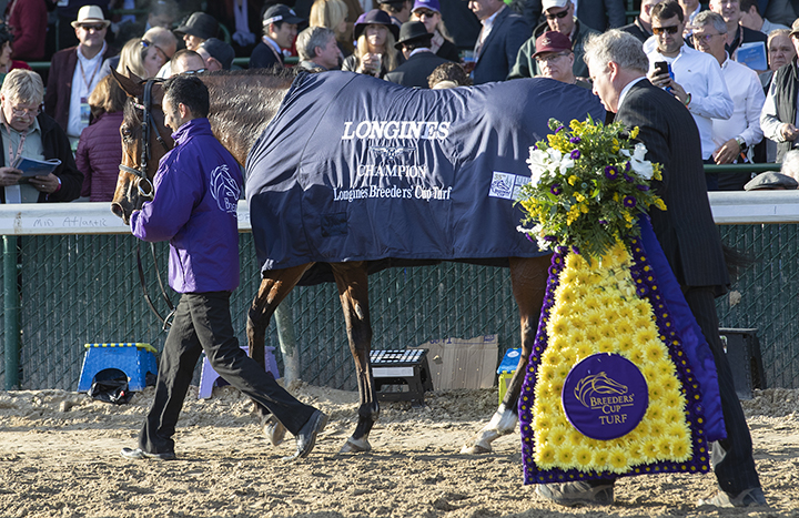 Enable after the Breeders' Cup Turf
