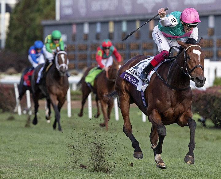 Enable wins the 2018 Breeders' Cup Turf at Churchill Downs