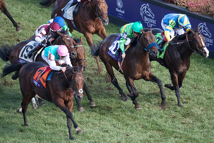 Catapult finishes second to Expert Eye in the Breeders Cup Mile