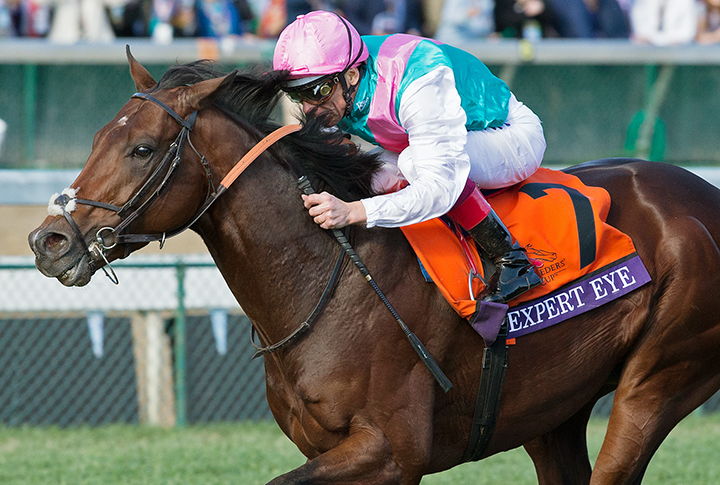 Expert Eye - Eclipse Awards 2018