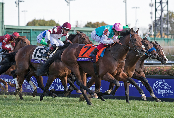 Expert Eye wins the 2018 Breeders Cup Mile