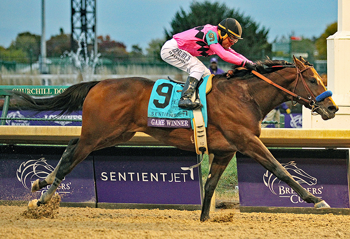 Game Winner wins the 2018 BC Juvenile