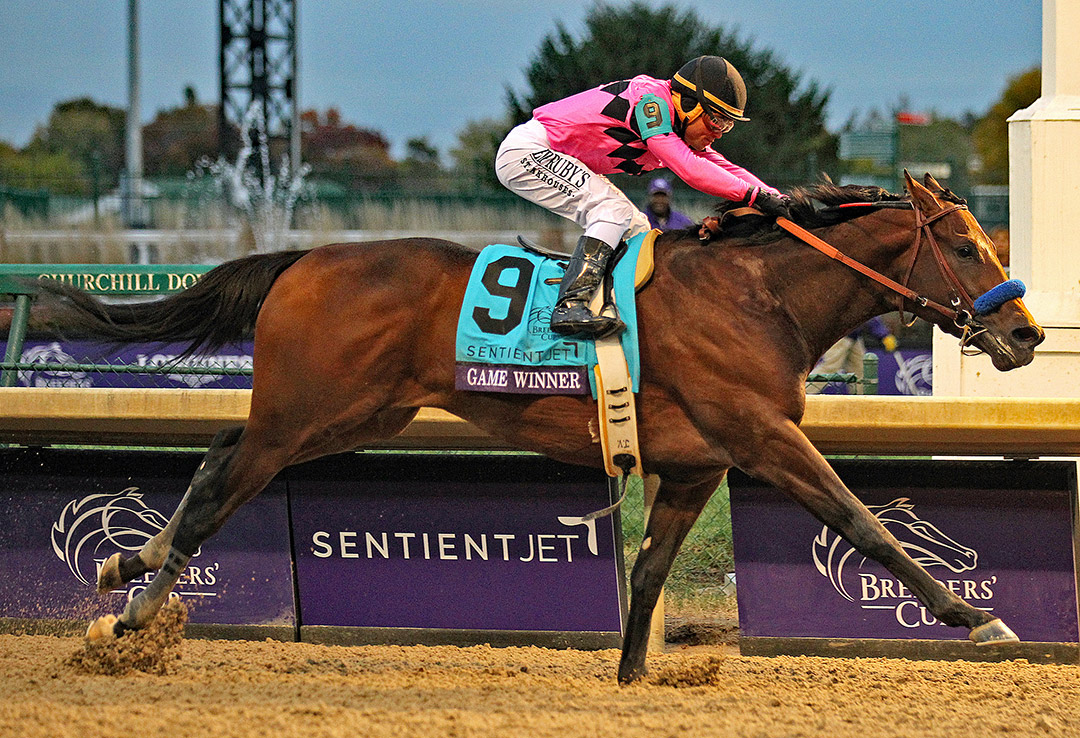 Game Winner wins the 2018 Breeders' Cup Juvenile at Churchill Downs