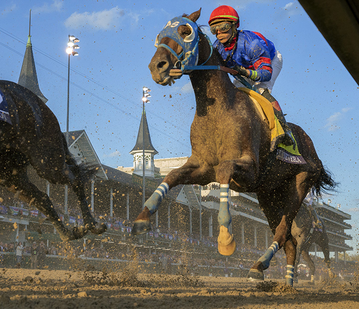 Gunnevera finishes second in the Breeders' Cup Classic