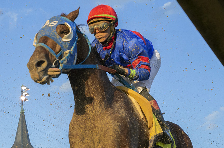 Gunnevera finishes second in the Breeders Cup Classic