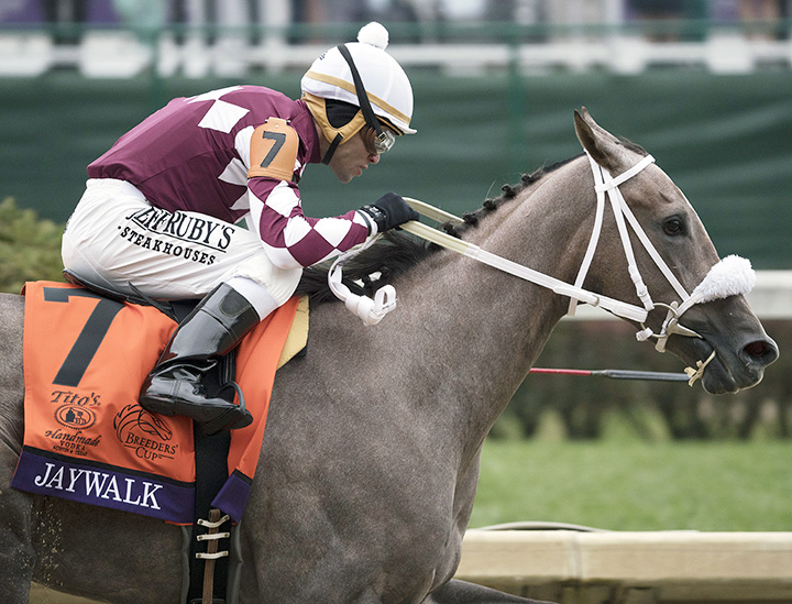 Jaywalk wins the 2018 Breeders Cup Juvenile Fillies