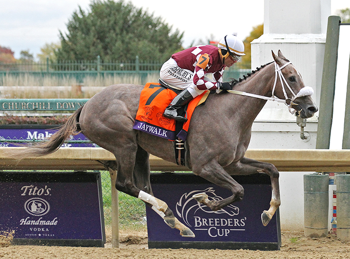 Jaywalk wins the 2018 Breeders Cup Juvenile Fillies
