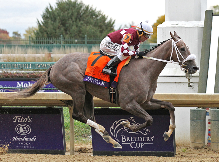 Jaywalk - Eclipse Awards 2018