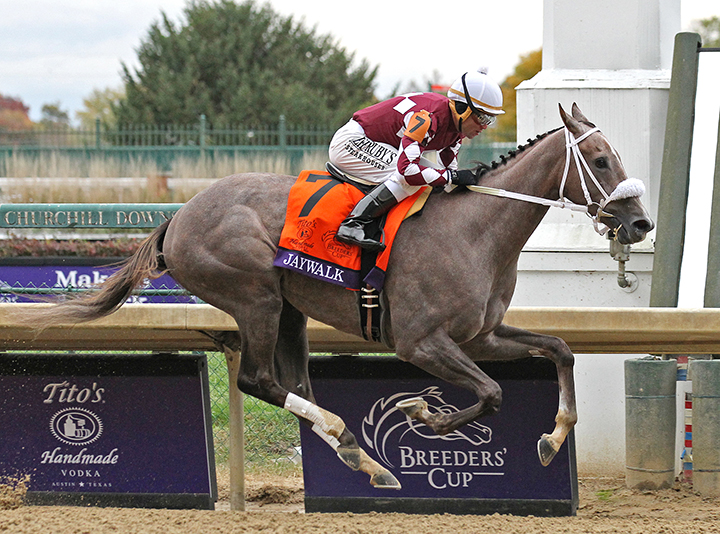 Jaywalk wins the 2018 Breeders Cup Juvenile Fillies