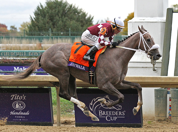 Jaywalk wins the 2018 Breeders Cup Juvenile Fillies