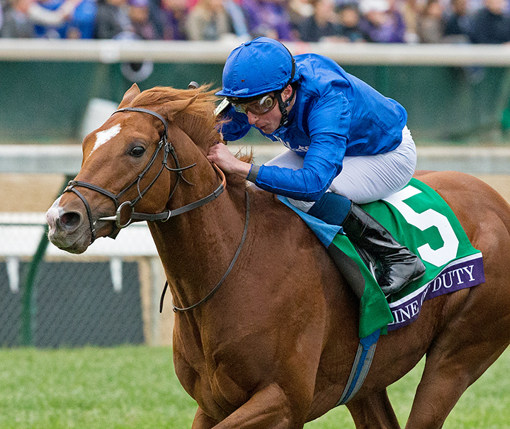 Line of Duty wins the 2018 Breeders Cup Juvenile Turf
