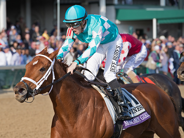 Monomoy Girl wins the 2018 Breeders Cup Distaff
