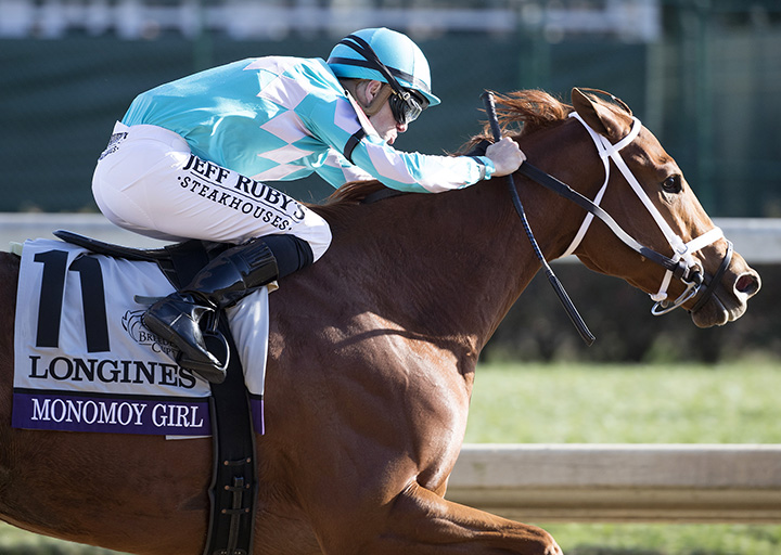 Monomoy Girl wins the Breeders Cup Distaff