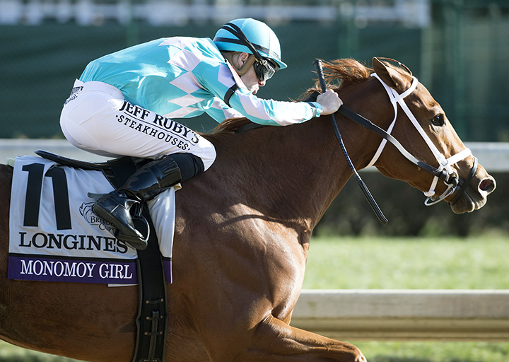 Monomoy Girl wins the 2018 Breeders Cup Distaff