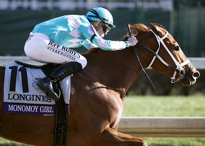 Monomoy Girl wins the 2018 Breeders' Cup Distaff
