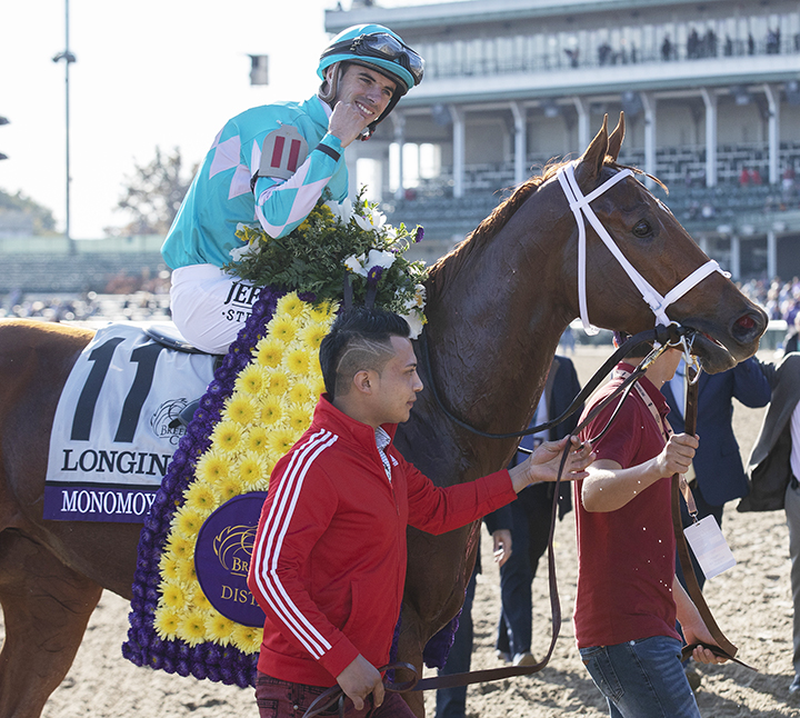 Monomoy Girl after the Breeders Cup Distaff